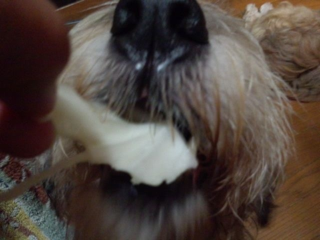 image-20120625183525.png