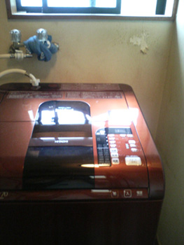 DCF_0229.jpg