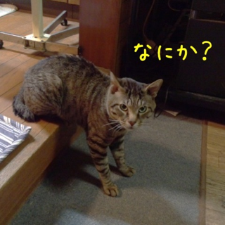 image-20120526122132.png